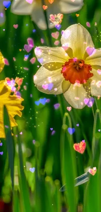 This phone live wallpaper features a beautiful field of daffodils in the grass, sprinkled with fairy dust and embellished with quirky elements such as bees and an alien figure