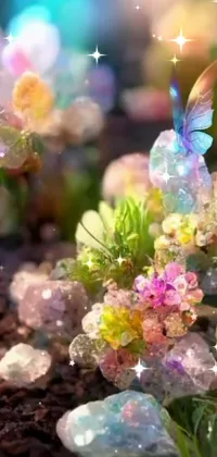 This phone live wallpaper showcases a stunning close-up of rocks and flowers