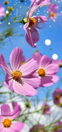 Flower Plant Light Live Wallpaper