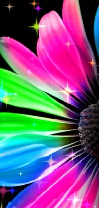 This live wallpaper features a close-up photograph of a colorful flower on a black background