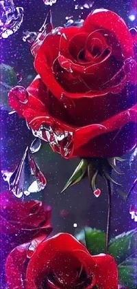 This phone live wallpaper features a beautiful red rose adorned with enchanting water droplets