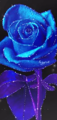 This live wallpaper for phones features a striking, up-close image of a blue rose on a black background