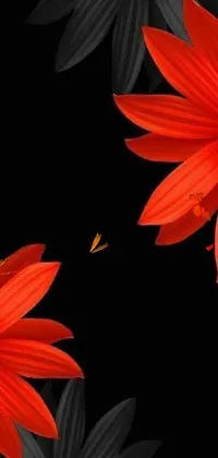 This phone live wallpaper showcases striking red and black flowers against a sleek black background