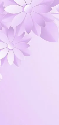 Flower Plant Lilac Live Wallpaper