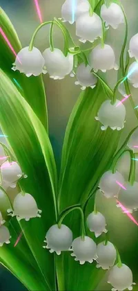 This is a stunning live wallpaper for your phone, featuring a bunch of white flowers resting on a green leaf