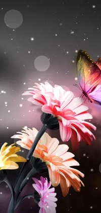 This phone live wallpaper showcases a digital art piece of a brightly colored butterfly flying over a bed of flowers