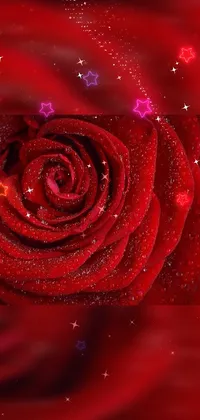 Adorn your phone screen with this stunning live wallpaper featuring a close-up of a red rose against a sparkling star-studded backdrop