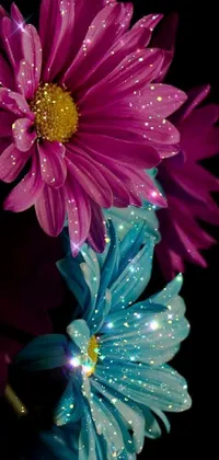 This beautiful live wallpaper features a close-up shot of a colorful bouquet of daisies, sparkling with water droplets and a gorgeous neon bioluminescence effect