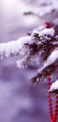 Get into the festive mood with this Christmas-themed live wallpaper