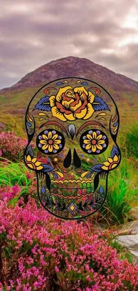 This live wallpaper features a colorful skull on a green hillside with an Irish mountain background