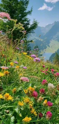 This nature-themed live wallpaper features colorful flowers covering a mountainous landscape, making it a picturesque and refreshing background for your mobile phone