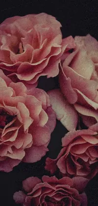 Enjoy the beauty of a pink rose bouquet in this phone live wallpaper! The image, which has a vintage effect, features a group of pink roses on top of a wooden table