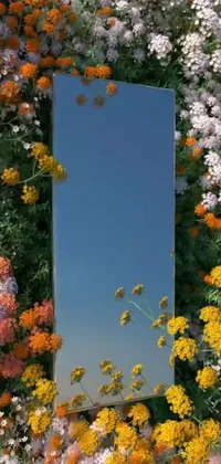 Flower Plant Nature Live Wallpaper