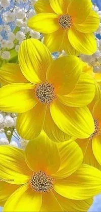 Flower Plant Nature Live Wallpaper