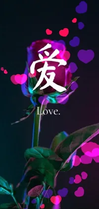 This phone live wallpaper features a stunning rose with the touchingly written word "love" across it in a delicate cursive script