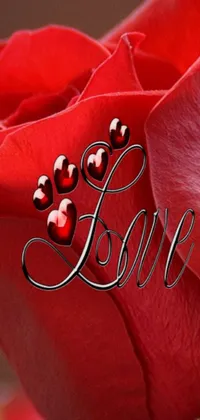This stunning phone live wallpaper features a striking red rose with the word "love" written on its petals