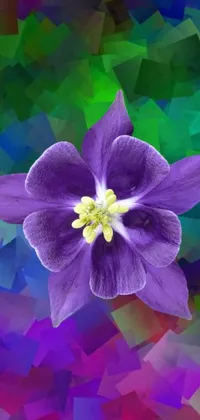 This phone live wallpaper features a stunning purple flower set amidst a colorful, vibrant background