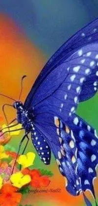 This exquisite phone live wallpaper showcases a gorgeous butterfly resting gracefully on a vibrant, saturated flower
