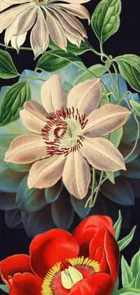 The beautiful phone live wallpaper showcases the stunning art nouveau style of flowers against a black backdrop