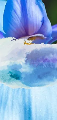 This live wallpaper features a beautiful flower close-up, with a digital painting that draws inspiration from the works of Georgia O'Keeffe