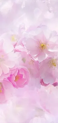 Looking for a stunning live wallpaper for your phone? Look no further than this close-up of beautifully vibrant pink flowers