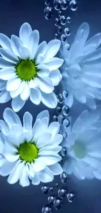 This phone live wallpaper features a stunning digital art image of three white flowers floating amidst water bubbles