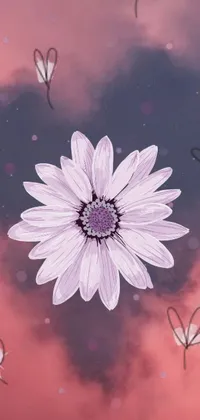 This mesmerizing phone live wallpaper features a white flower resting on a cloudy sky