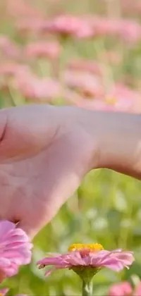 Looking for a stunning live phone wallpaper that captures the essence of nature?

This stunning phone wallpaper showcases a close-up of a person's hand touching a vibrant flower, against a backdrop of a scenic field of flowers