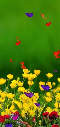 flowers and butterflys  Live Wallpaper