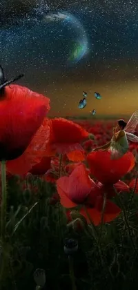 This phone live wallpaper features a beautiful night sky above a field of red poppies, with delicate butterflies flitting through the scene