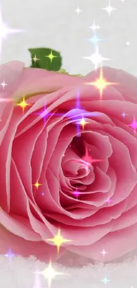 Anand Prajapati  Live Wallpaper