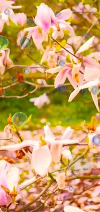 This phone live wallpaper features a beautiful and colorful image of flowers hanging from a tree branch