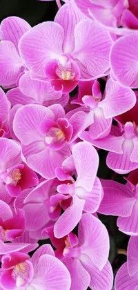 Indulge your senses in the breathtaking beauty of this 3D live wallpaper, featuring a close-up view of a stunning pink orchid flower