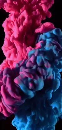 Flower Plant Petal Live Wallpaper