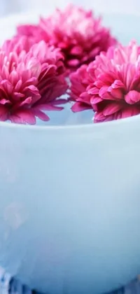 This live phone wallpaper features a wooden table with a bowl of fresh pink chrysanthemum flowers