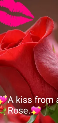 💖A kiss from a Rose💖 Live Wallpaper