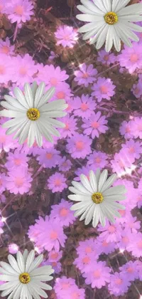 This phone live wallpaper features stunning purple flowers sitting closely together, surrounded by white sparkles