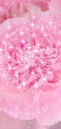 Pink Flower Background Photos, Download The BEST Free Pink Flower