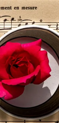 This beautiful live wallpaper features a realistic rose sitting in a bowl on top of a sheet of music