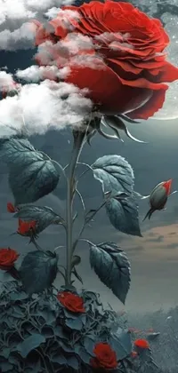 This Phone Live Wallpaper showcases a stunning, vibrant red rose perched atop a lush green field