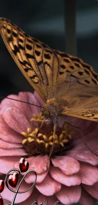 This live wallpaper features a brown flower with a pink center, decorated with a yellow, white, and black butterfly