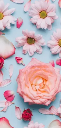 This dynamic phone live wallpaper features a pink rose surrounded by delicate petals on a soothing blue background