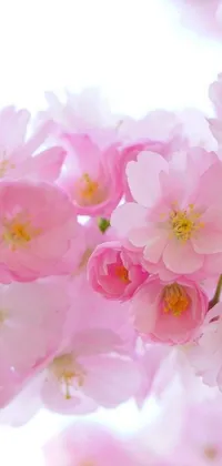 This live wallpaper captures the enchanting beauty of delicate pink flowers in stunning detail