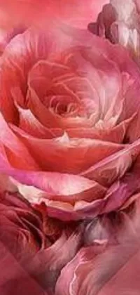 This phone live wallpaper features a beguiling image of a pink rose in close-up view