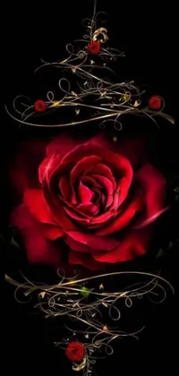 This stunning phone live wallpaper features a close-up of a red rose set against a black background