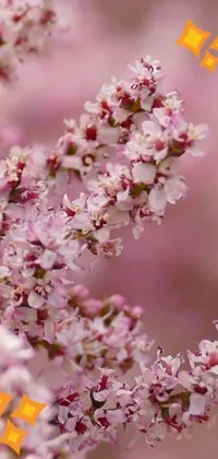 This live wallpaper features a stunning close up of a bouquet of flowers on a tree with soft pink hues, lilac shrubs, and sakura blooms