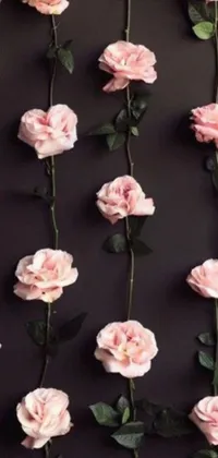 Enhance your phone's look with this stunning live wallpaper featuring beautiful pink roses arranged in a dark pattern