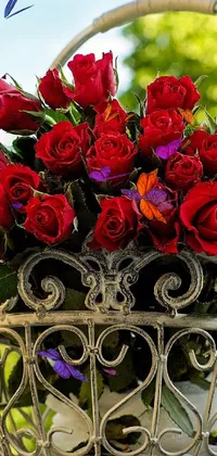 Enjoy the stunning beauty of this live wallpaper featuring a basket filled with red roses