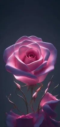Flower Plant Petal Live Wallpaper