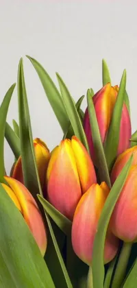 Looking for a stunning live wallpaper for your phone? Check out the vibrant &quot;Tulip Vase&quot; wallpaper available for download! This eye-catching wallpaper features a close-up view of colorful yellow and orange tulips arranged in a vase, set against a beautiful brownish-yellow background